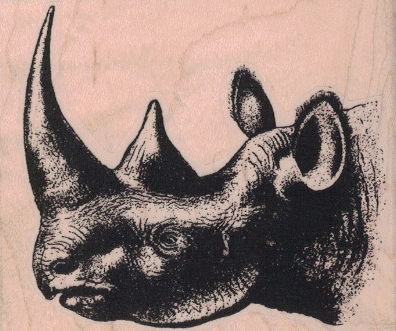 Rhinoceros Head 3 x 2 1/2-0
