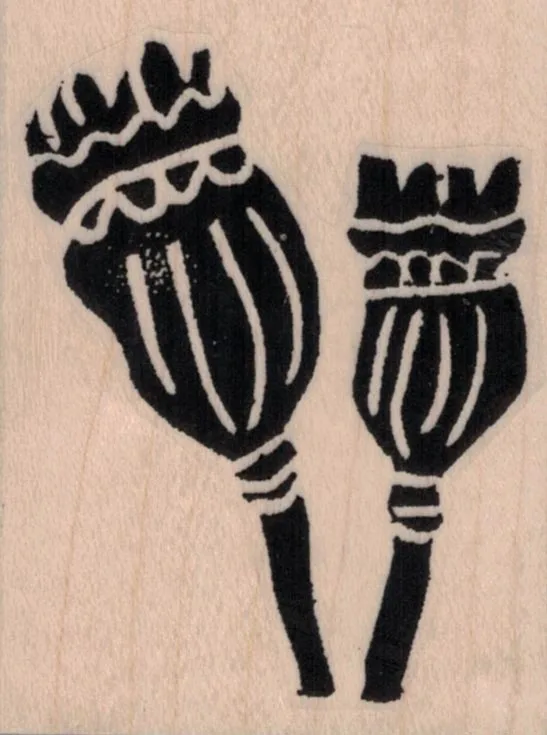 Ethos Flowers By Tina Walker 2 x 2 1/2-0