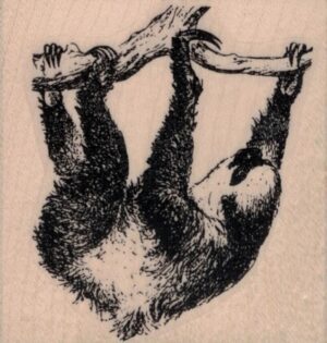Sloth Hanging From Branch 2 1/4 x 2 1/4-0