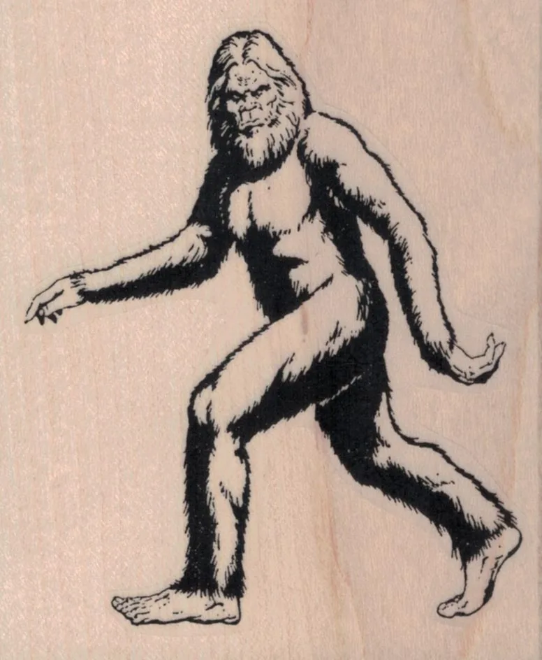 Sasquatch 2 3/4 x 3 1/4-0