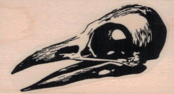 Bird Skull 1 1/2 x 2 1/2-0